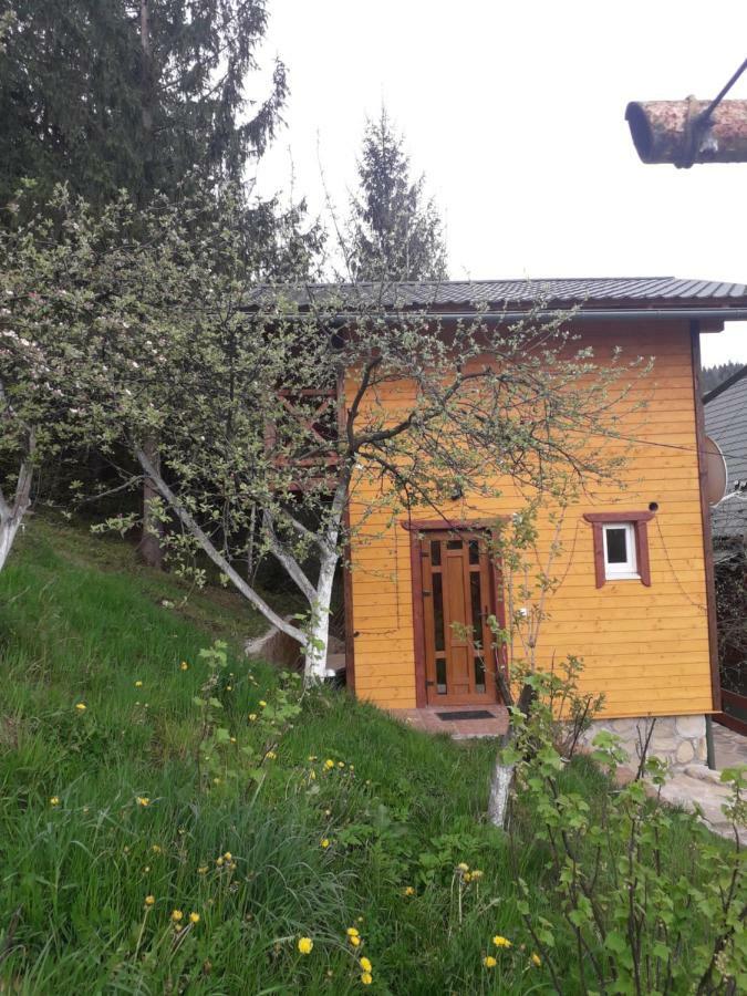 Смериковий Jaremtsje Eksteriør bilde